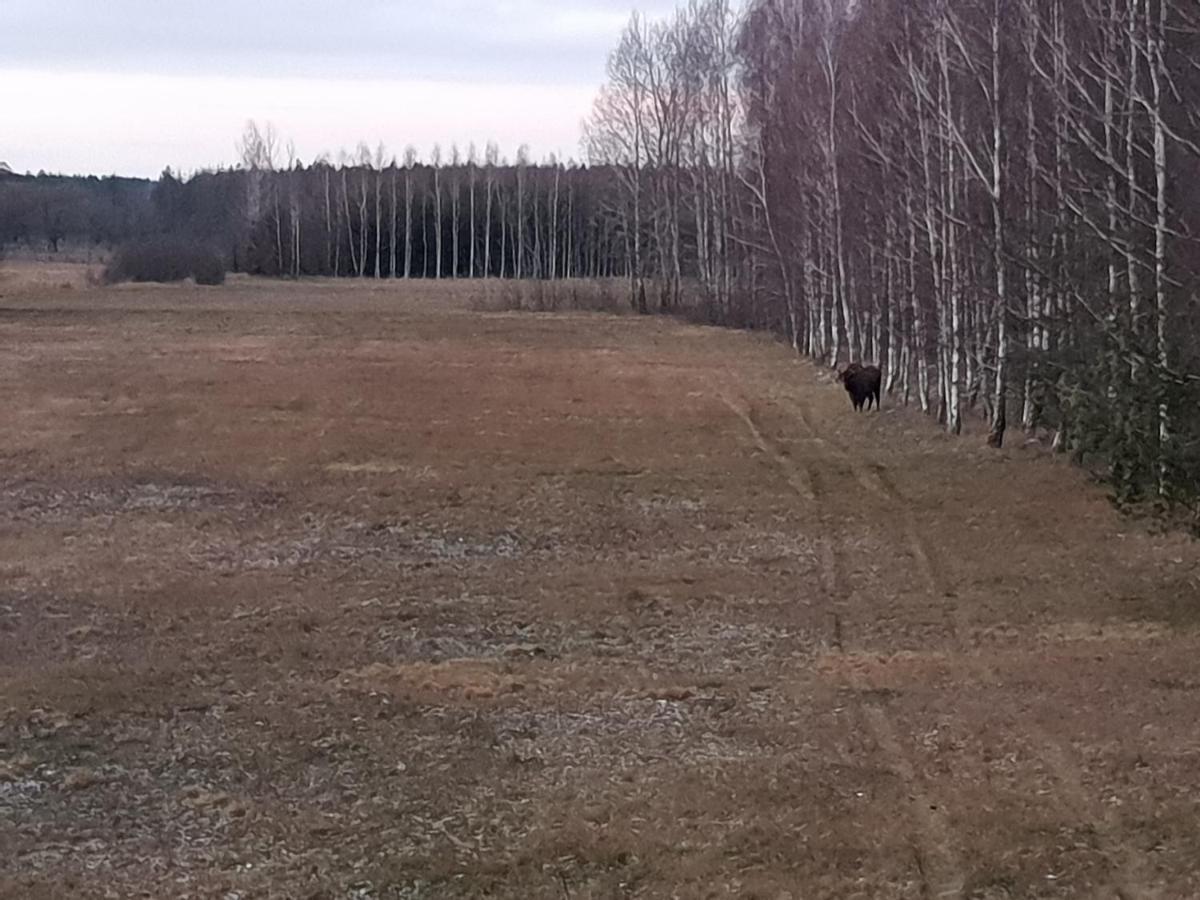 Ciche Podlasie Siemianowka Exterior foto